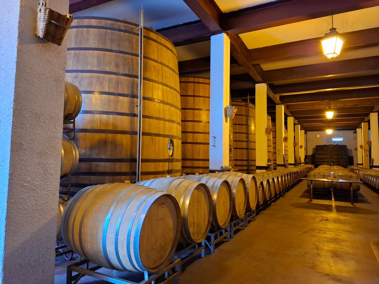 Douro Valley Events in October 2026: Harvest Festivals, Wine Fairs and Autumn Walks